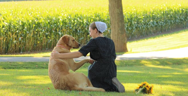 ¿Qué hago si ya no puedo cuidar a mi mascota?