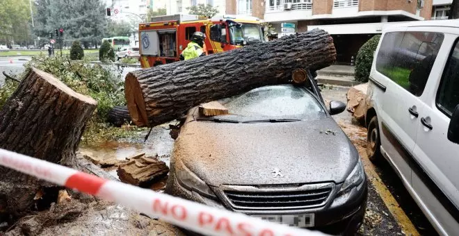 Consejos para conducir con fuerte viento y lluvia, según el Ministerio de Interior