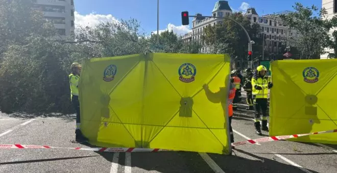 Muere una joven en Madrid tras caerle un árbol encima, la primera víctima de Ciarán en España