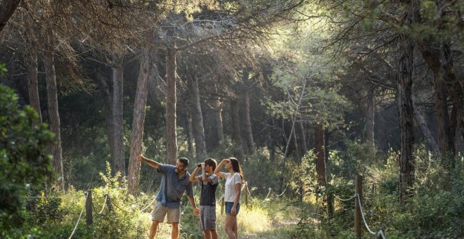 Set propostes per descobrir el Baix Llobregat: patrimoni modernista, espais naturals i gastronomia