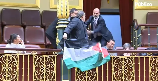 Así ha sido el momento en el que activistas han desplegado banderas palestinas en el Congreso durante la comparecencia de Albares