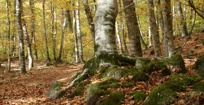 Set escapades d'un dia per gaudir l'esplendor de la tardor sense sortir de Catalunya