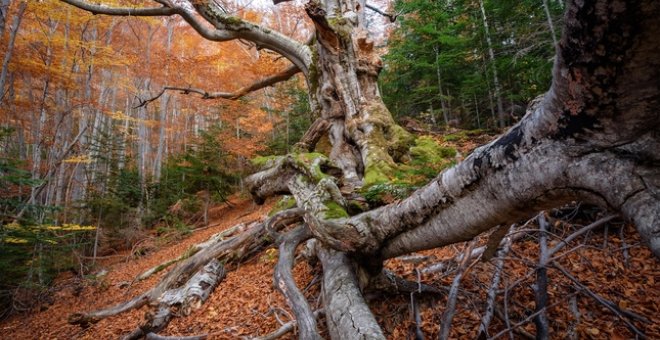 Vuit paisatges de Catalunya per escapar-te aquesta tardor