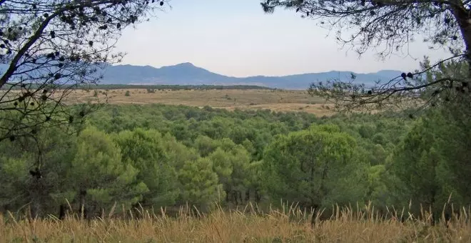 Ecologismo de emergencia - Preservar el Llano de Matagallar, el único proyecto sostenible para este tesoro natural