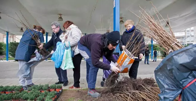 En marcha una nueva campaña de reparto de árboles y plantas