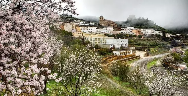 Aire Libre Invierno: Aves, pazos y los almendros de Tenerife y Almería