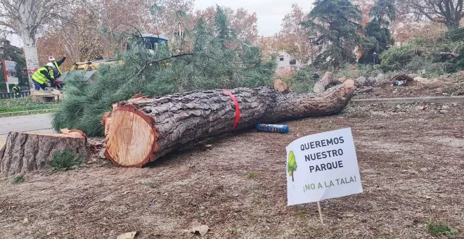 Una tuneladora junto a un colegio y talas masivas de árboles en el proyecto de Ayuso para ampliar la línea 11 de Metro