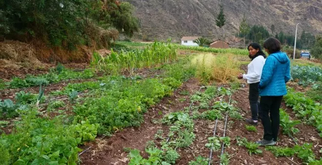 Agroecología y defensoras de la Tierra