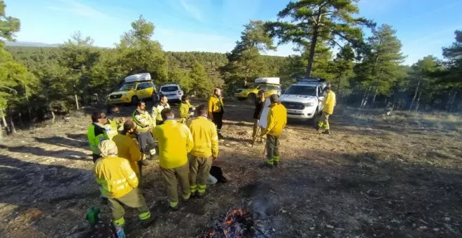 Castilla-La Mancha destina 50 millones de euros a la conservación y tratamiento de masas forestales