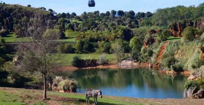 Cabárceno alcanza en 2023 récord histórico de visitantes, con 670.000