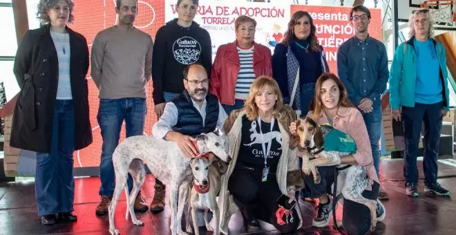 Convocadas ayudas para proyectos de Bienestar Animal, que contarán con una partida de 40.000 euros