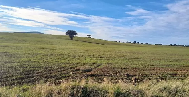 Preocupación en la provincia de Ciudad Real ante el intento de reactivación del proyecto minero de tierras raras