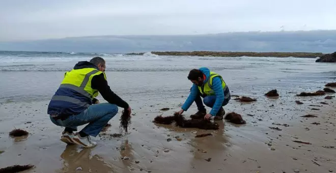 Cantabria eleva a nivel 2 su alerta por los pellets para pedir la intervención del Gobierno