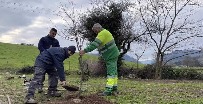 Abierto el plazo para participar en el reparto de árboles frutales