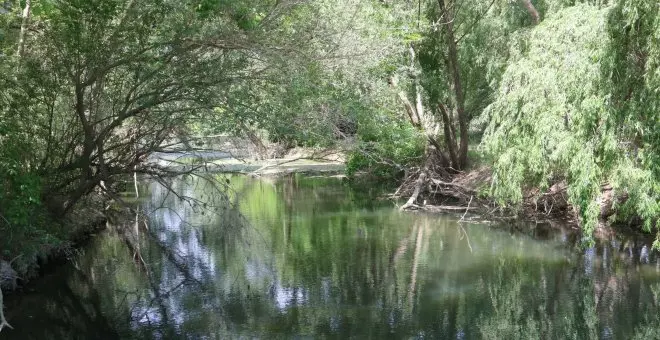 El Govern aixeca l'emergència per sequera a 22 municipis de l'Alt Empordà, que tornen a l'excepcionalitat