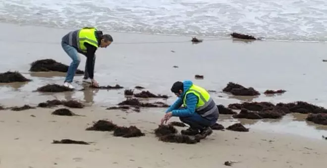 Cantabria mantendrá el operativo de vigilancia y recogida de pélets, al igual que el nivel 2 del Platercant