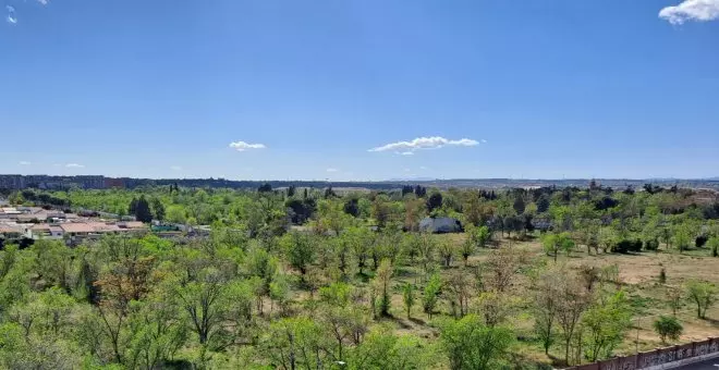 Ecologismo de emergencia - Oscuros ladrillos se ciernen sobre los bosques de Campamento en Madrid