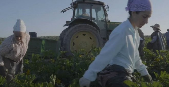 Los nuevos señoritos del campo