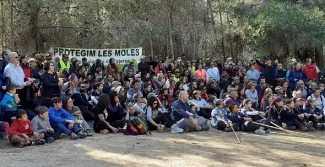 13 años de lucha para salvar el último pulmón verde de Valencia