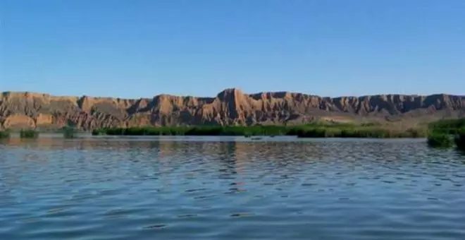 Luces y sombras en la conservación del humedal del río Tajo en Castrejón: piden implicación "efectiva" para su restauración