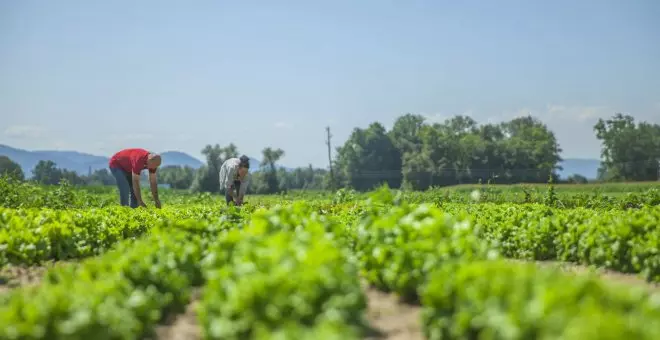 Otras miradas - Agricultura resiliente, agricultura campesina