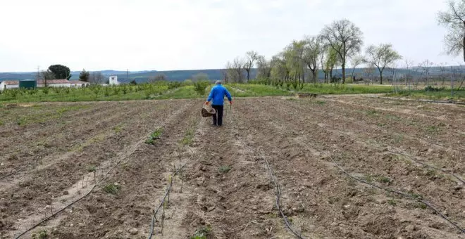 El Gobierno central asegura que los agricultores y ganaderos van a ir percibiendo "poco a poco" la PAC