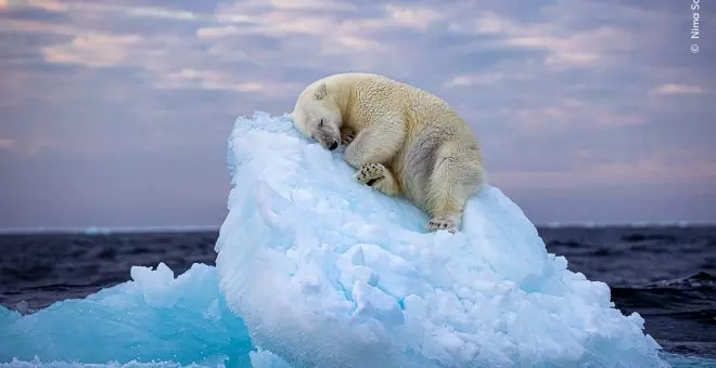 Las mejores fotos de naturaleza del año por aclamación popular