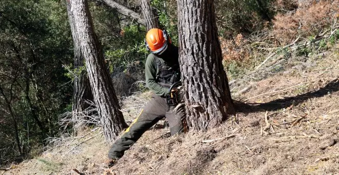 La sequera fa preveure la campanya d'incendis més complicada dels últims 30 anys