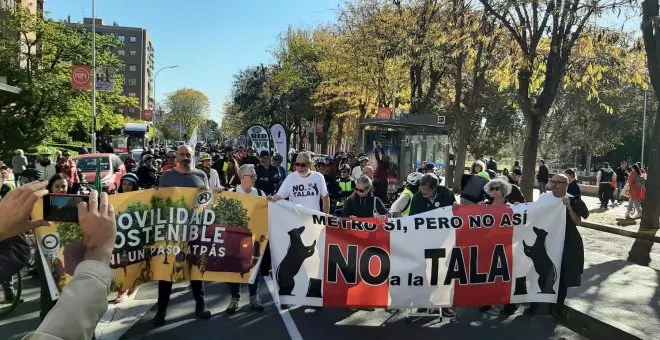 Mapa de las polémicas talas del alcalde Almeida en Madrid