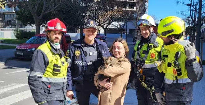 Los bomberos rescatan con vida a un gato ocho días después del incendio de Valencia