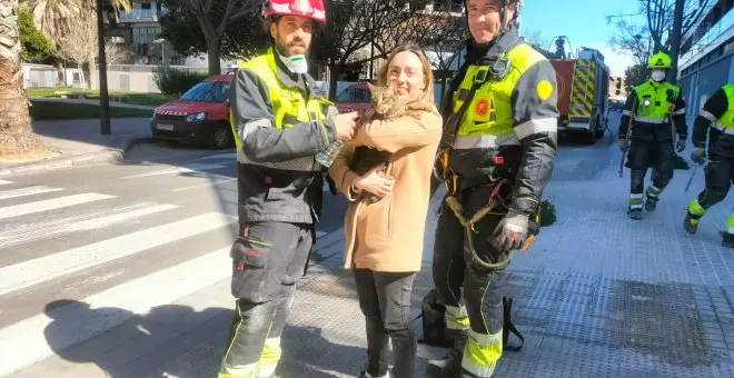 El milagro de Coco, el gato que ha sobrevivido ocho días entre las cenizas del incendio de València