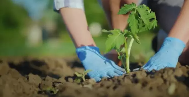 COGERSA lanza un vídeo para animar a los asturianos a compostar sus residuos