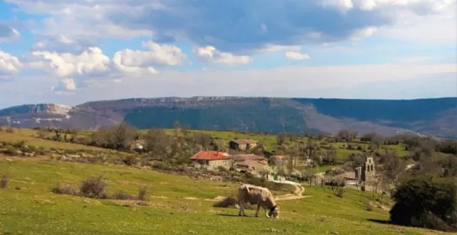 Cantabria muestra su preocupación por el inminente cierre de las centrales de cobre de la telefonía fija en municipios cántabros