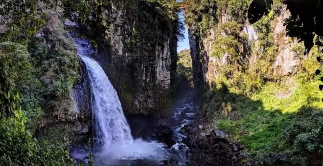 Viaje a México: yerbabuena y buen vivir