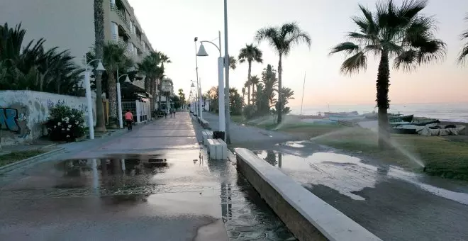 Posos de anarquía - Moreno Bonilla abandona a la jardinería malagueña