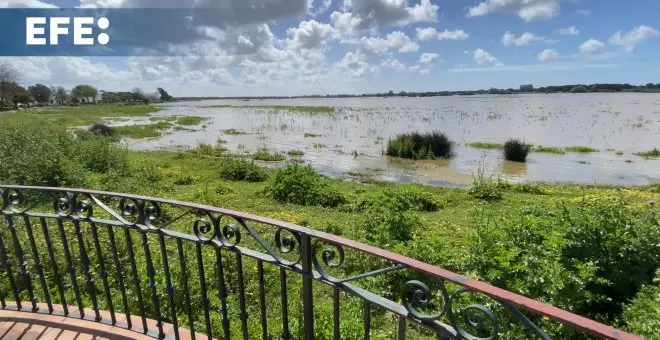 Almonte (Huelva) alerta sobre la colmatación de la marisma de Doñana próxima a El Rocío