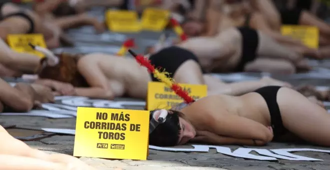 Radiografía del bienestar animal: las mascotas avanzan en derechos mientras los toros son la gran asignatura pendiente