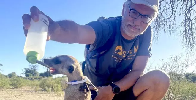 Eloy Revilla, director de la Estación Biológica de Doñana: "Hay que ser positivos"