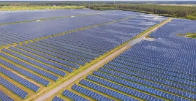 Producir energía solar no está reñido con el cultivo de alimentos: estas plantas solucionan el problema