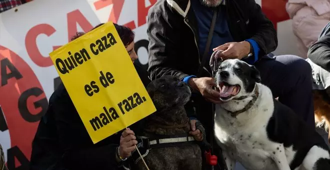 Delitos, penas y maltrato animal: un año de "claroscuros" tras la reforma del Código Penal