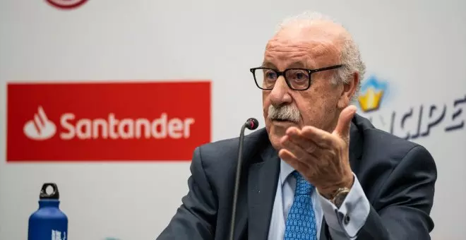 Vicente del Bosque presidirá la comisión que tutelará la Federación de Fútbol