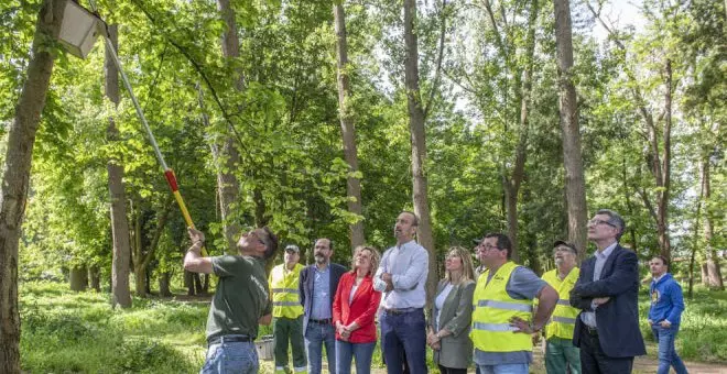 El Ayuntamiento regenerará El Patatal con más de 1.000 árboles y humedales artificiales