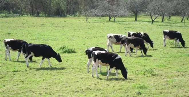 Cantabria tiene el agua menos contaminada de España gracias a su modelo de agricultura y ganadería sin macrogranjas