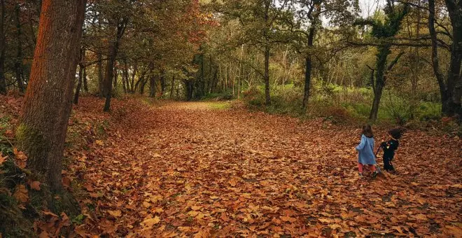 De fábrica de explosivos a jardín botánico