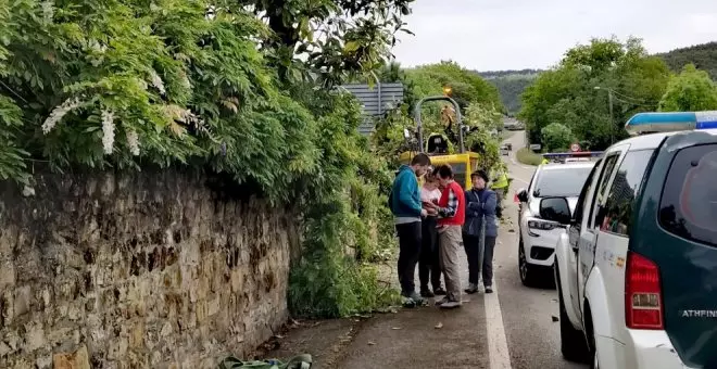 Media sobre la tala de un magnolio centenario en Galizano: "Lo que digan los técnicos será lo que se haga y dicen que hay que tirarlo"