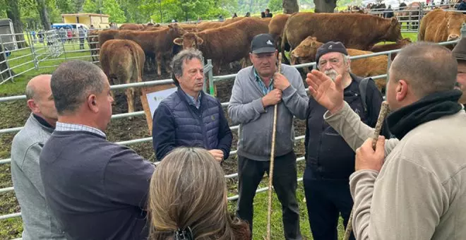 Centenares de personas asisten a la "emblemática" feria ganadera de Soba