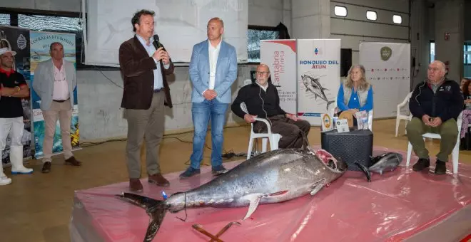 Colindres acoge el despiece de un atún rojo de 200 kilos