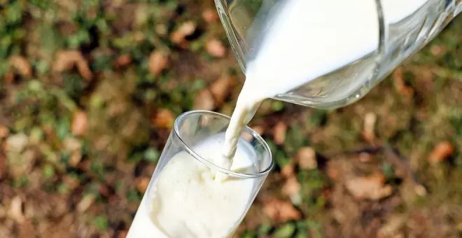 Una leche cántabra, destacada entre las mejores por su gran calidad