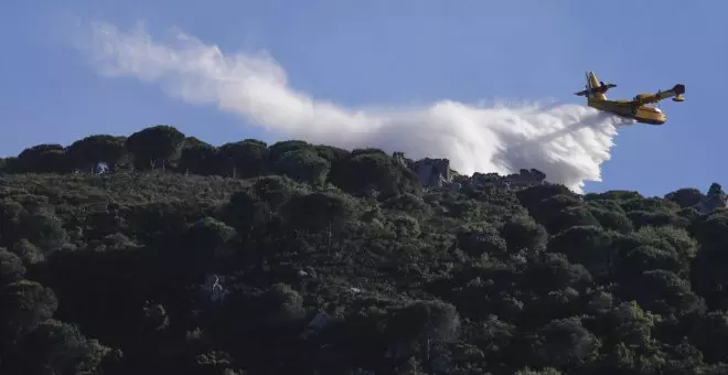 Un incendio forestal en Tarifa obliga al desalojo de varias viviendas