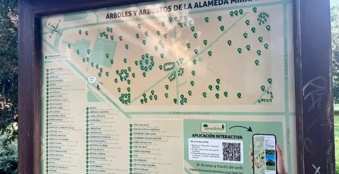 El Ayuntamiento y Bosques de Cantabria crean una app sobre el arbolado de las alamedas Miramar y El Bosque